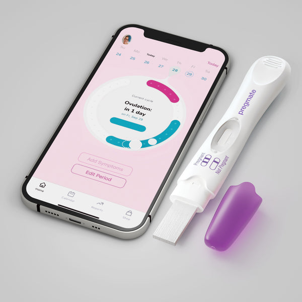 Pregmate Digital Pregnancy Test Combo Kit